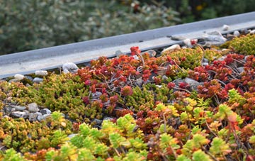 the cost of Hacklinge green roof installation