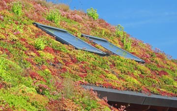 Hacklinge living roof systems