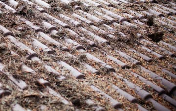 Hacklinge roof cleaning companies