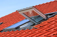 Hacklinge roof window